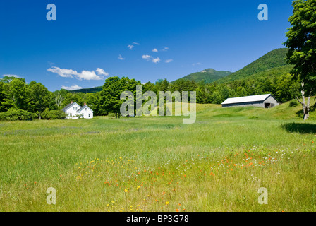 Paysage rural avec Green Meadow, New Hampshire, USA. Banque D'Images