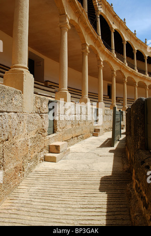 La plus grandes arènes construites en 1785, Ronda, Province de Malaga, Andalousie, Espagne, Europe de l'Ouest. Banque D'Images