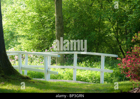 Pont blanc romantique, trouvés dans un parc d'arbres en Pays-Bas Banque D'Images