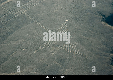 La Hummingbird géoglyphe figure des lignes de Nazca dans les Pampas de Jumana, Pérou. Banque D'Images