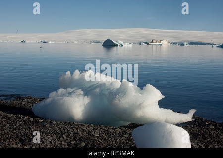 Sheathbill enneigés, Chionis alba, volant au-dessus de l'océan Antarctique et des icebergs. L'antarctique. Banque D'Images