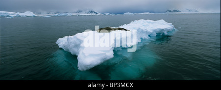 L'Antarctique, l'île de la demi-lune, Phoque de Weddell repose sur la plage couverte de neige avec des montagnes de l'île Livingston en arrière-plan Banque D'Images