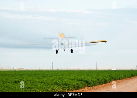 Un avion pulvérisateur applique des pesticides à un champ de coton venant à échéance. Banque D'Images