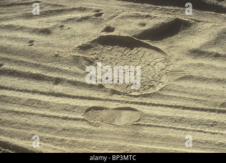 Empreinte écologique de l'homme éléphant adultes aux côtés d'amorçage de safari en sable mou dans la réserve nationale de Samburu, Kenya Afrique de l'Est Banque D'Images