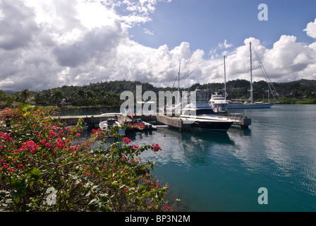 Marina tranquille à Port Antonio, Jamaïque Banque D'Images