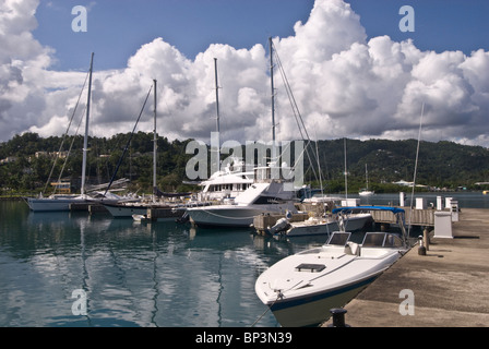 Voiliers couché paisiblement à l'ancre à Port Antonio, Jamaïque Banque D'Images