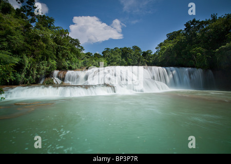 Les chutes d'Agua Azul vue du bas à Palenque, Chiapas, Mexique Banque D'Images