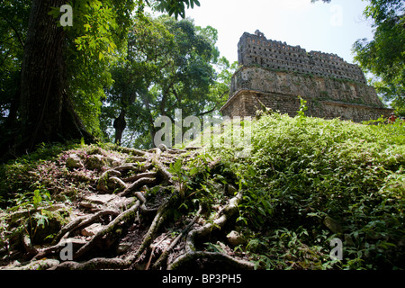 33 Temple de Yaxchilan site archéologique dans la région de Chiapas, au Mexique. Banque D'Images