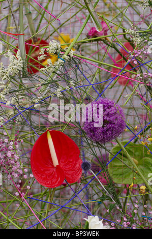 La vie toujours avec arrangement floral et de l'Anthurium Allium Banque D'Images