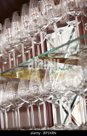 Sélection de différents verres debout sur une étagère en verre, Berlin, Allemagne Banque D'Images