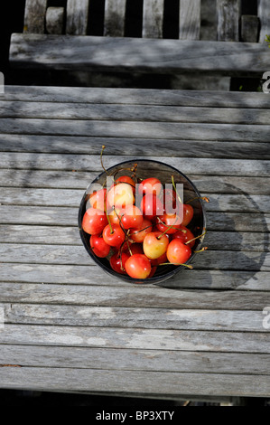 Cerises biologiques Banque D'Images
