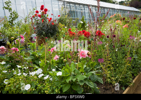 Les plantes - plantés à inspirer - dans un lit de fleur / la plantation / usines à Petersham Nurseries, Petersham. Richmond upon Thames. UK. Banque D'Images
