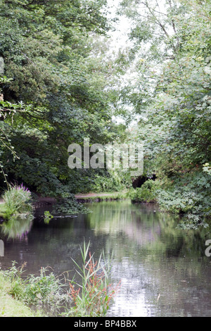 Grand Union Canal - Wendover Branch Banque D'Images