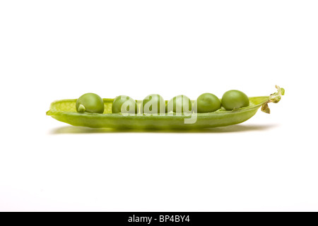 Les gousses de pois frais perspective faible contre isolé sur fond blanc. Banque D'Images