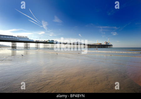 Trois personnes se baigner à marée basse par la jetée de Brighton Banque D'Images