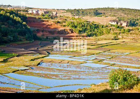 Un village sur une colline au-dessus d'une terrasse et de rizières dans le centre-sud de Madagascar, où le riz est l'aliment de base. Banque D'Images