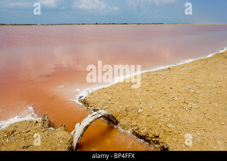 Une lagune salée artificiel pendant le processus de maturation du sel à Salinas de manaure, Colombie. Banque D'Images