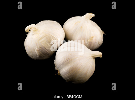 Bulbes d'ail (Allium sativum) Banque D'Images