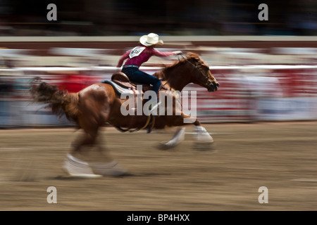 Lindsay Sears le baril rider au Calgary Stampede Rodeo Finals fonce vers la ligne d'arrivée. Banque D'Images