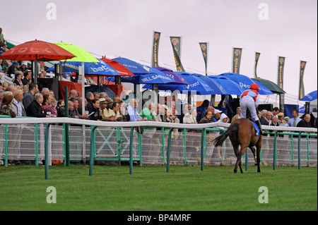 Les courses de chevaux sur le plat aux courses de Brighton East Sussex UK Banque D'Images