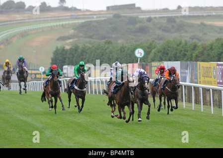 Les courses de chevaux sur le plat aux courses de Brighton East Sussex UK Banque D'Images