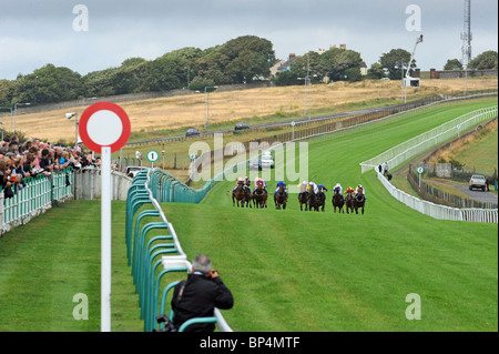 Les courses de chevaux sur le plat aux courses de Brighton East Sussex UK Banque D'Images