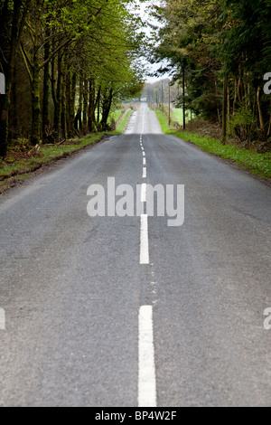 Longue ligne droite chaussée en Dumfries en Ecosse, arbres bordent la route de chaque côté Banque D'Images