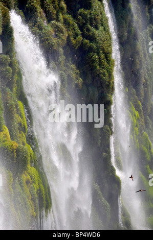 Tombe à côté de la gorge du diable, ou d'Iguaçu Iguazu Falls National Park, l'Argentine Banque D'Images