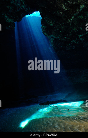 Blue Hole, Ichetucknee State Park, Floride Banque D'Images