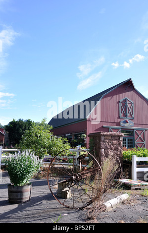 Apple Cider Mill et country store, Avon, New York, New England, USA Banque D'Images