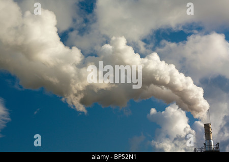 Fumée secondaire de la tige de l'écologie problèmes Banque D'Images