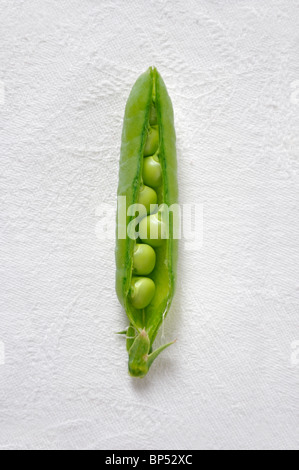 Split pea pod on white Banque D'Images