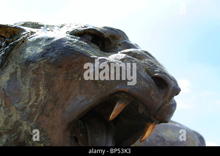 Ancienne statue de lionne féroce sauvage en Inde Banque D'Images