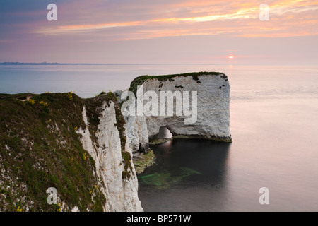 Old Harry Rocks à l'aube sur la côte jurassique du Dorset près de Poole, UK Banque D'Images