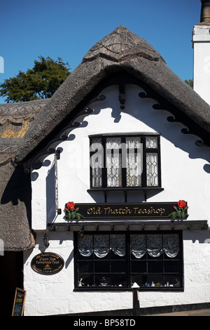 Le Old Thatch Teashop dans la station balnéaire de Shanklin Old Village, île de Wight, Hampshire Royaume-Uni en juin Banque D'Images