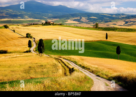 Chemin de campagne menant à la villa près de Pienza Toscane Italie Banque D'Images