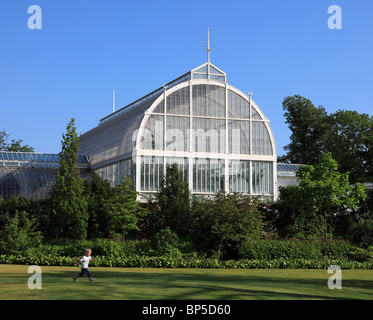 La Suède, Göteborg, Göteborg, Jardin, Parc de la société Palm House, Banque D'Images