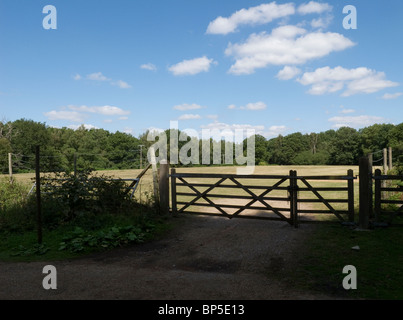 Champ avec Gate-1 Banque D'Images