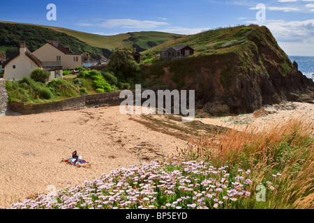 La plage et les maisons du village historique de Hope Cove, South Hams, Devon Banque D'Images