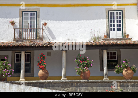 Pots en terre cuite avec des fleurs d'un porche dans le village médiéval d'Obidos Banque D'Images