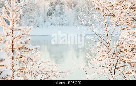 Le paysage d'hiver ensoleillé - vue sur la rivière Banque D'Images