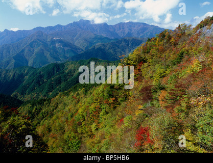 Mont Odaigahara, Kamikitayama, Yoshino, Nara, Japon Banque D'Images