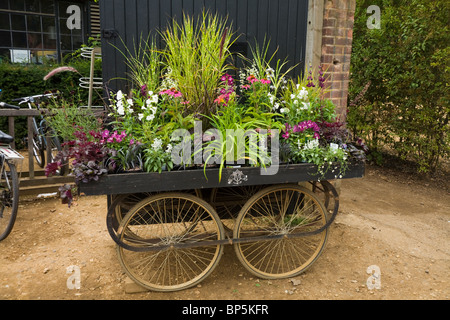 Fleurs - plantés à inspirer - dans un arrangement / la plantation / usines à Petersham Nurseries, Petersham. Richmond upon Thames. UK Banque D'Images