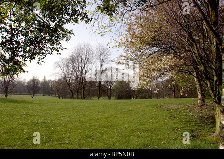 L'Angleterre, Cheshire, Stockport, Hazel Grove, Torkington Park, arbres au printemps Banque D'Images