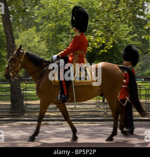 Ouverture du Parlement de l'état Garde à pied et à cheval à la reine sur le Mall Banque D'Images