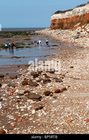 Les bandes rouges et blanches falaises de Hunstanton sur la côte de Norfolk, en Angleterre, à marée basse Banque D'Images