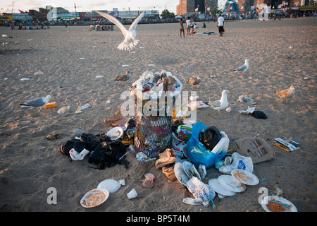 Visite de mouettes poubelles débordant sur la plage de Coney Island à Brooklyn à New York Banque D'Images