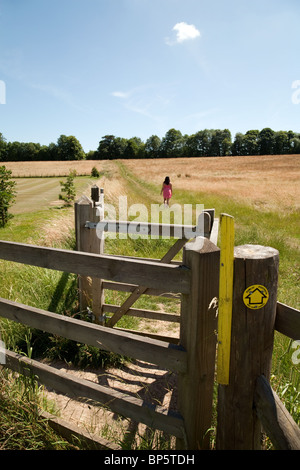 Une jeune femme en robe rose de marcher le long d'un chemin dans un champ dans la campagne anglaise en été, Lyminge village près de Folkestone, Kent, UK Banque D'Images