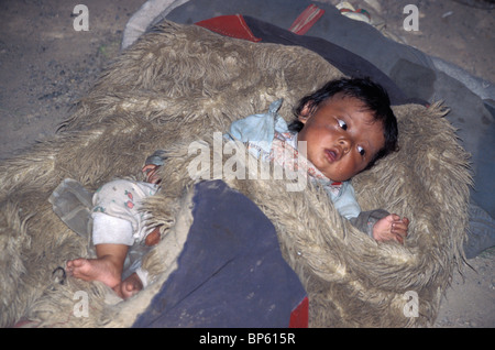 Bébé enveloppé dans la peau d'animaux tapis dans l'ouest du Tibet Banque D'Images