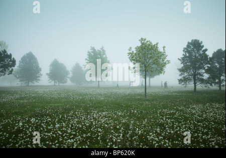 Les gens dans la distance de marche à travers un champ de brume Banque D'Images